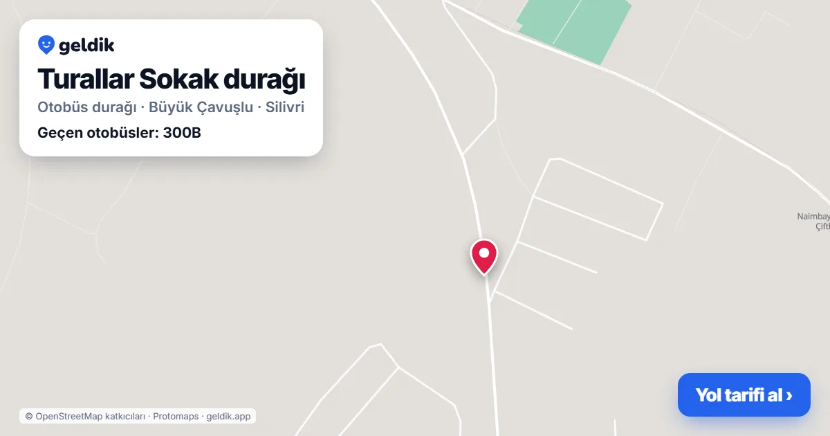 Turallar Sokak otobüs durağı haritada: konumu ve yakındaki duraklar