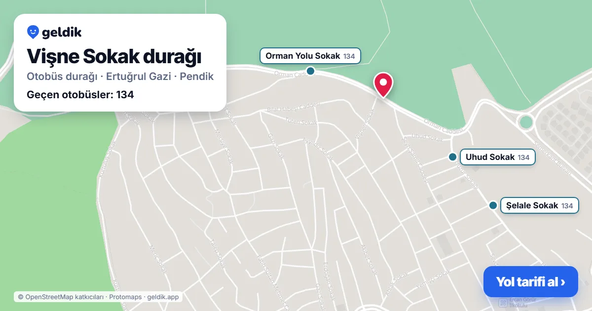 Vişne Sokak otobüs durağı haritada: konumu ve yakındaki duraklar