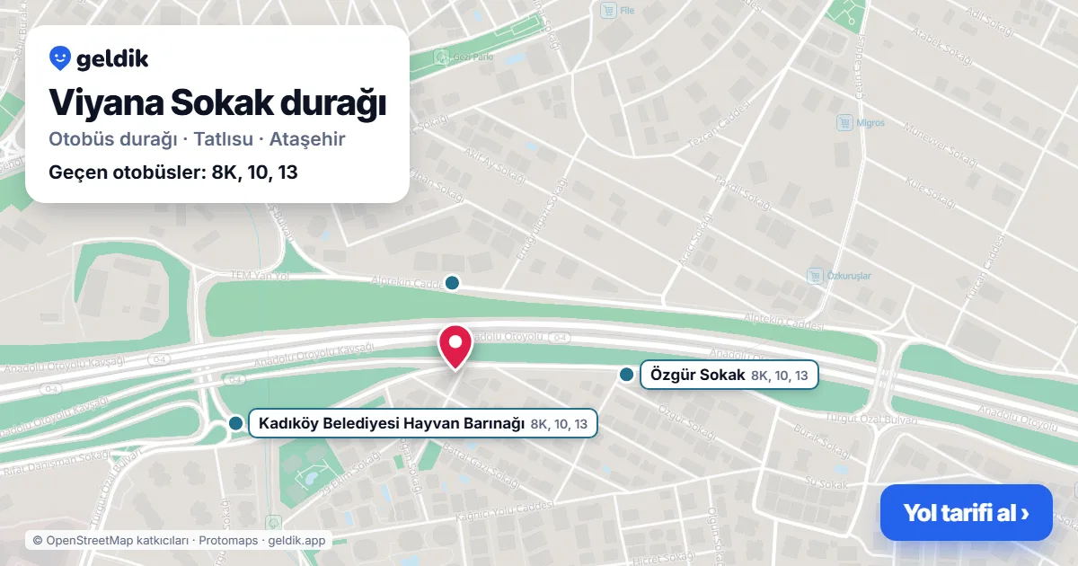 Viyana Sokak otobüs durağı haritada: konumu ve yakındaki duraklar