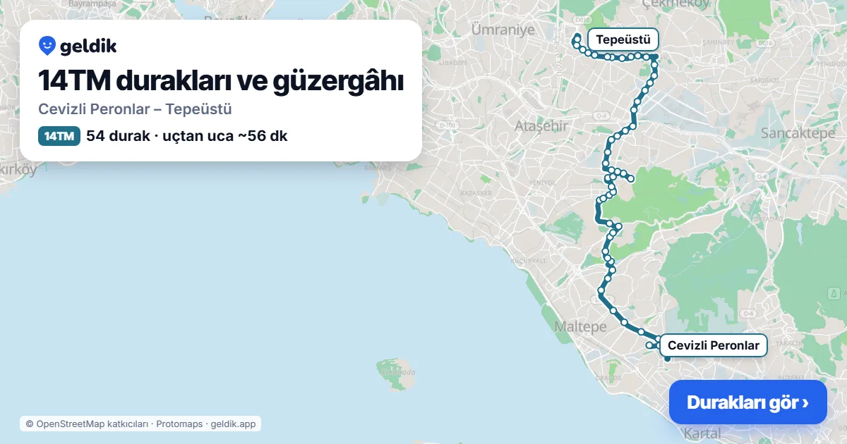14TM otobüs güzergâhı haritası: Cevizli Peronlar – Tepeüstü, 54 durak