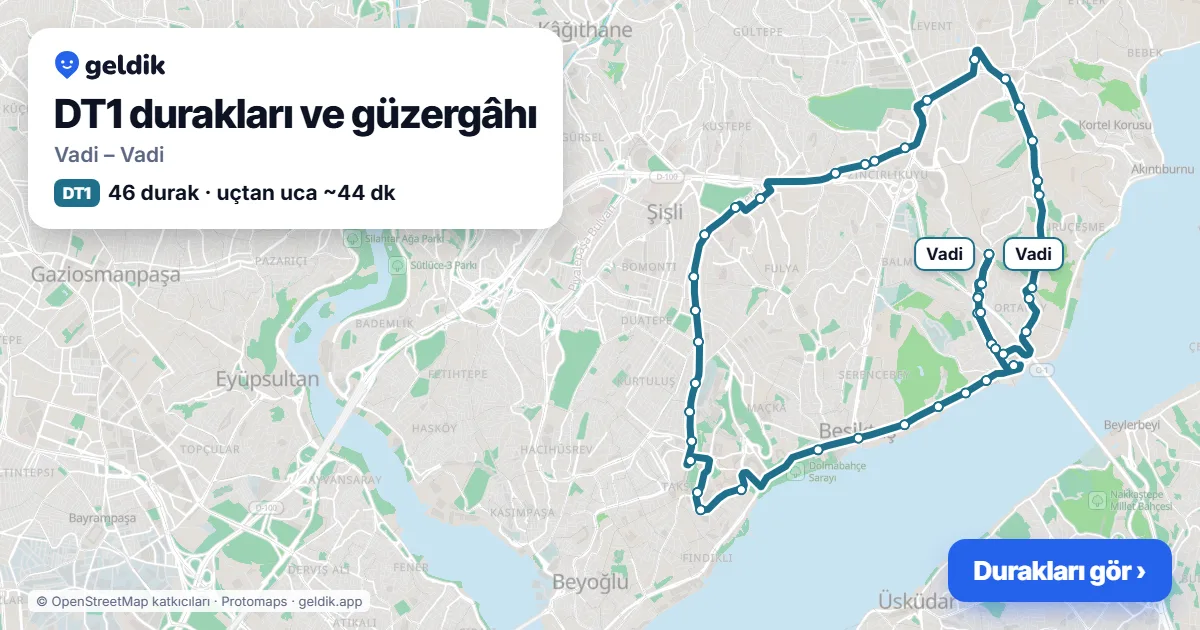 DT1 otobüs güzergâhı haritası: Vadi – Vadi, 46 durak