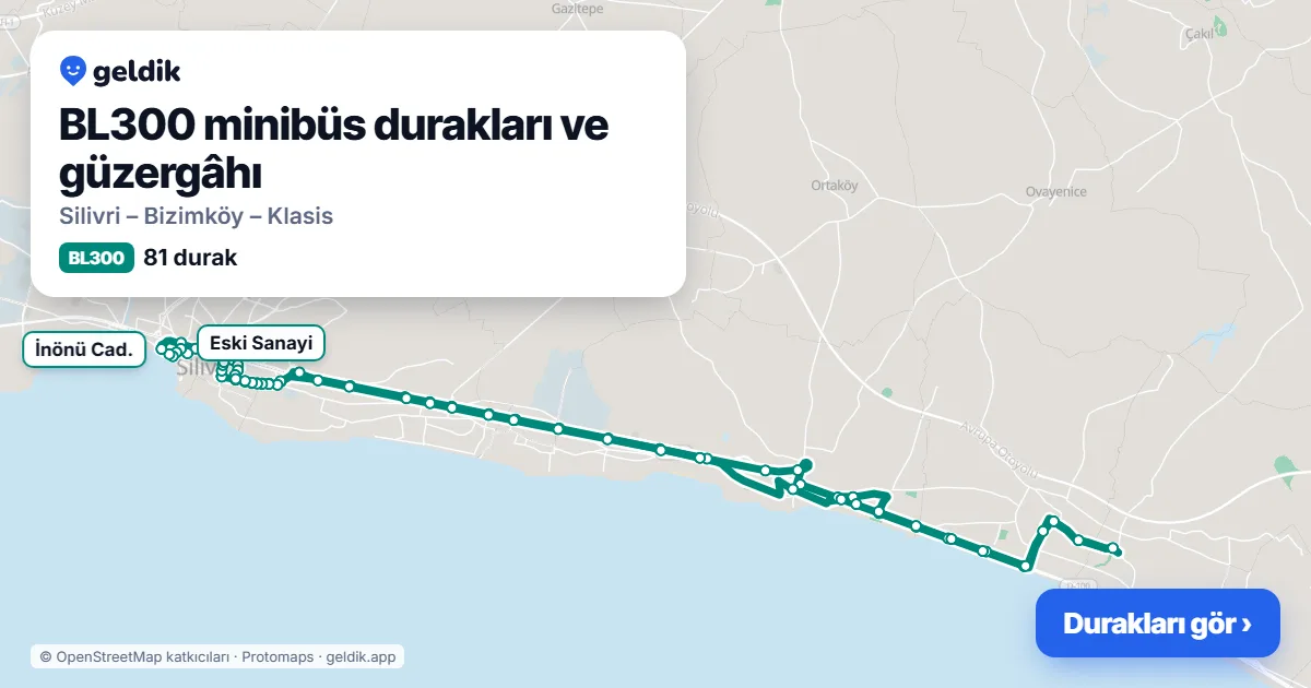 BL300 minibüs güzergâhı haritası: 81 durak