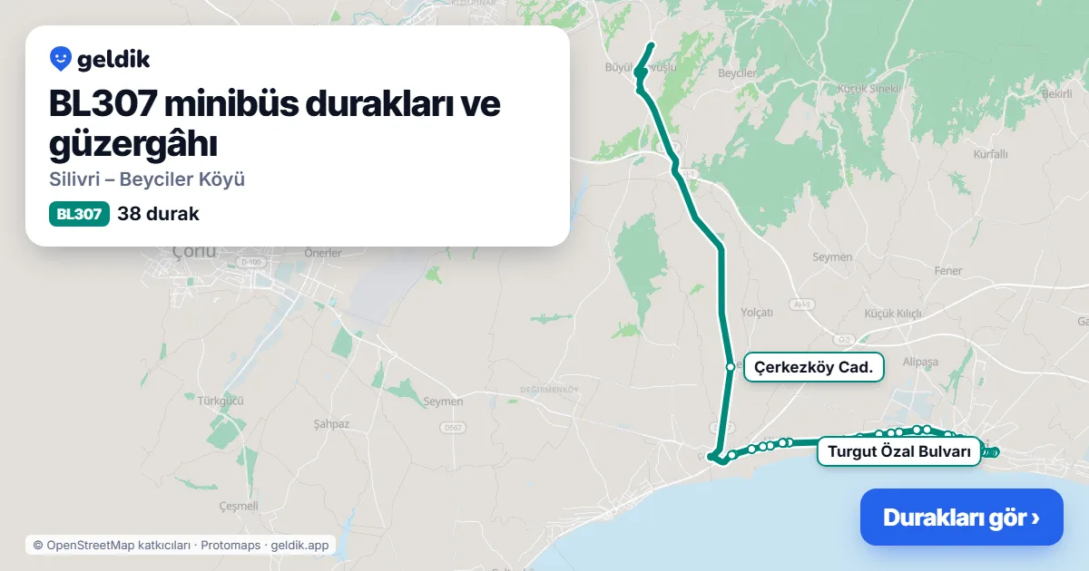 BL307 minibüs güzergâhı haritası: 38 durak