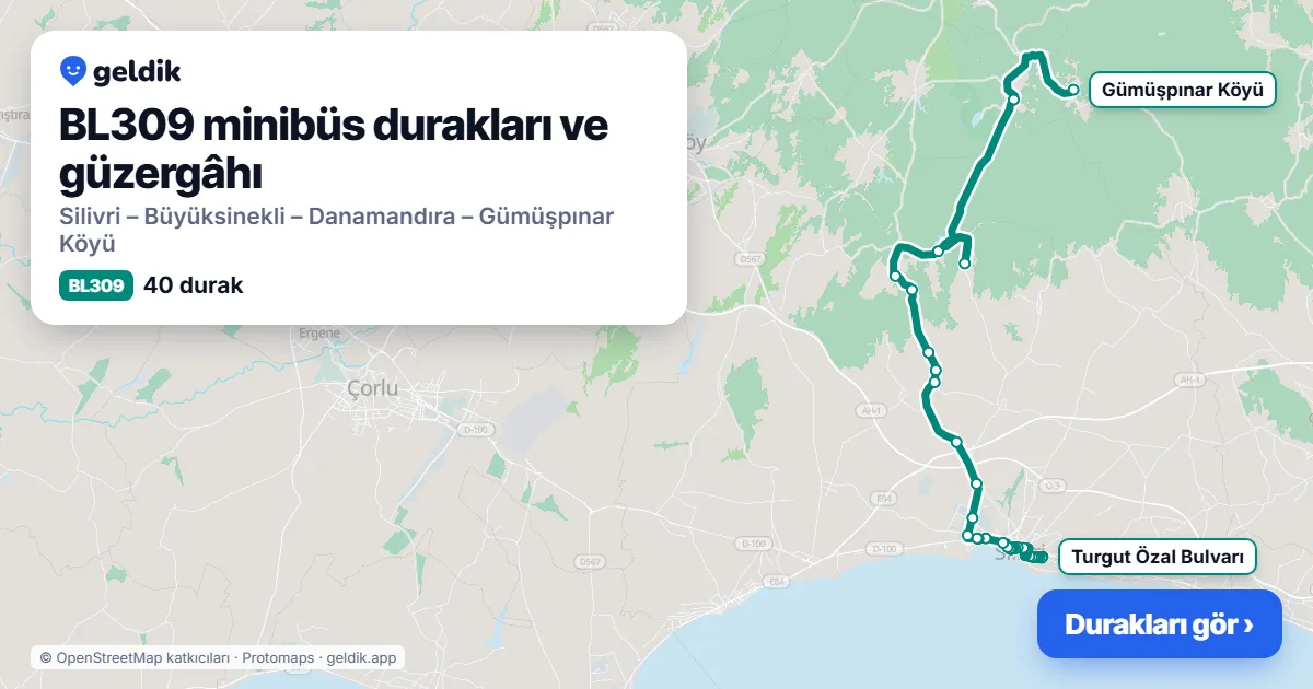 BL309 minibüs güzergâhı haritası: 40 durak