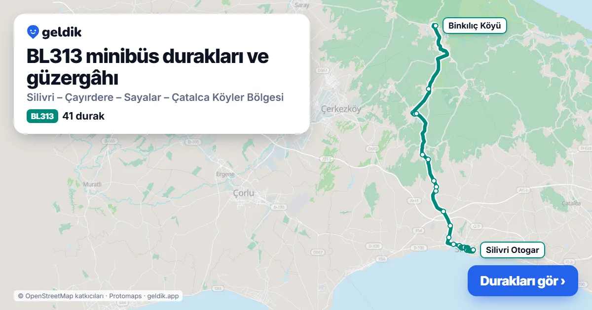 BL313 minibüs güzergâhı haritası: 41 durak