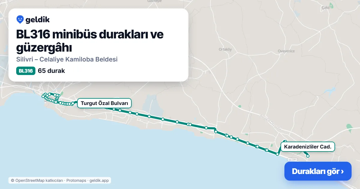 BL316 minibüs güzergâhı haritası: 65 durak