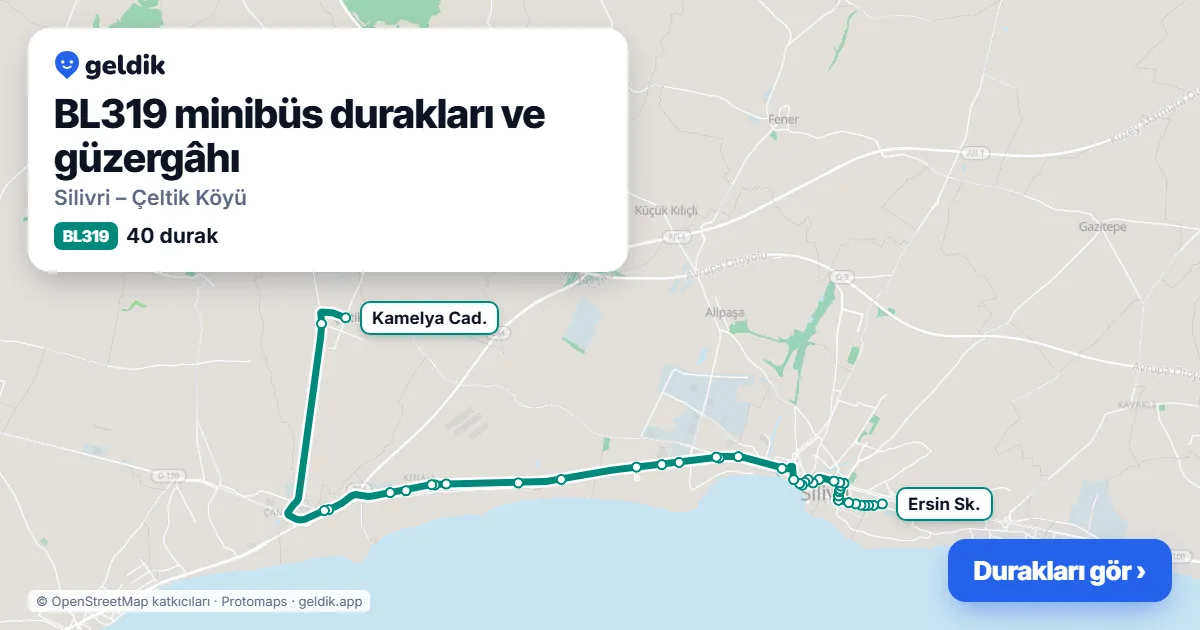 BL319 minibüs güzergâhı haritası: 40 durak