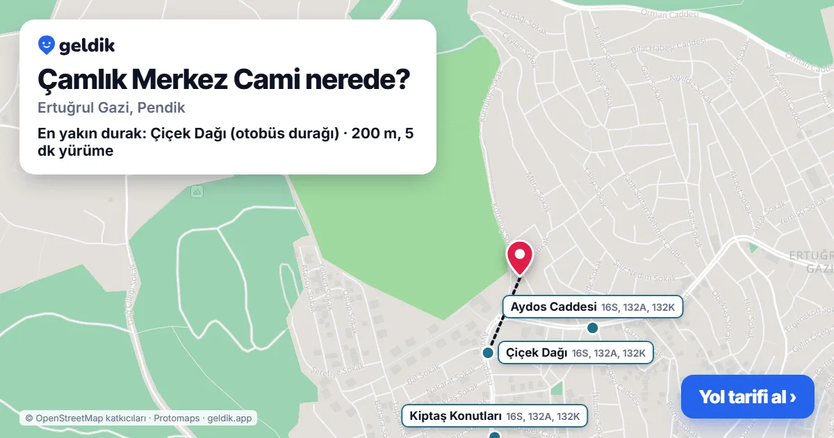 Çamlık Merkez Cami nerede: haritada konumu ve en yakın duraklar, yürüme süreleriyle
