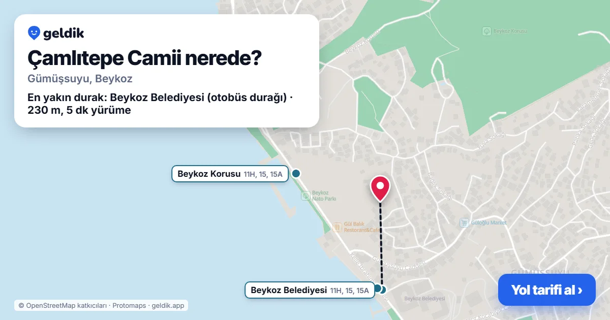 Çamlıtepe Camii nerede: haritada konumu ve en yakın duraklar, yürüme süreleriyle