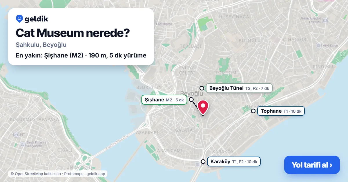 Cat Museum nerede: haritada konumu ve en yakın duraklar, yürüme süreleriyle
