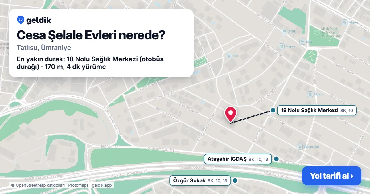 Cesa Şelale Evleri nerede: haritada konumu ve en yakın duraklar, yürüme süreleriyle
