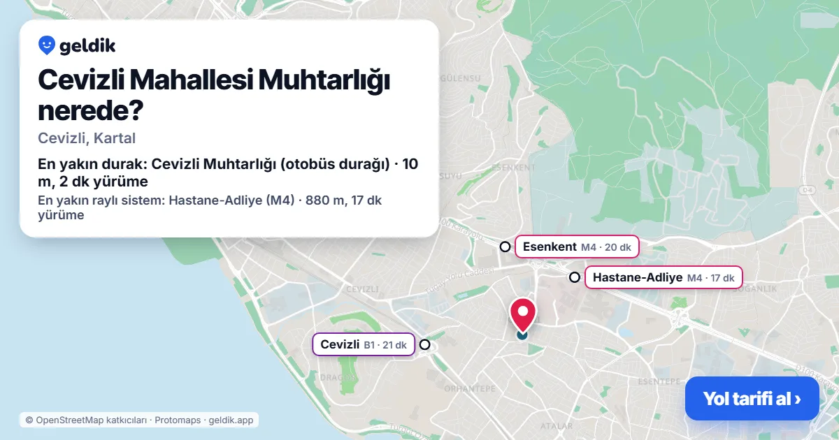 Cevizli Mahallesi Muhtarlığı nerede: haritada konumu ve en yakın duraklar, yürüme süreleriyle