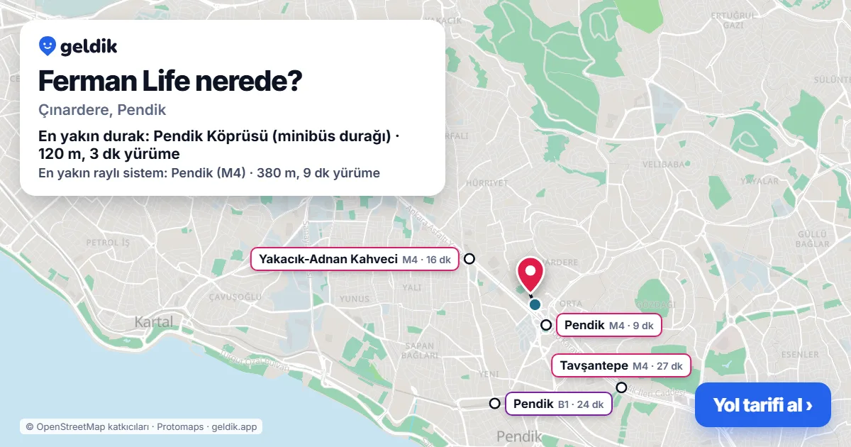 Ferman Life nerede: haritada konumu ve en yakın duraklar, yürüme süreleriyle