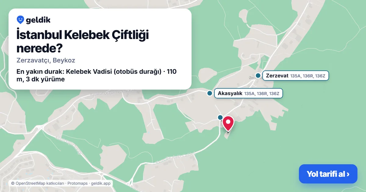 İstanbul Kelebek Çiftliği nerede: haritada konumu ve en yakın duraklar, yürüme süreleriyle