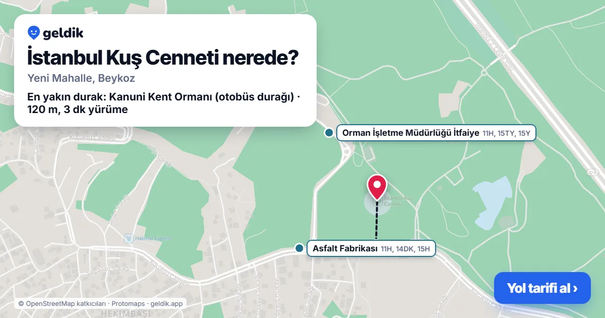 İstanbul Kuş Cenneti nerede: haritada konumu ve en yakın duraklar, yürüme süreleriyle