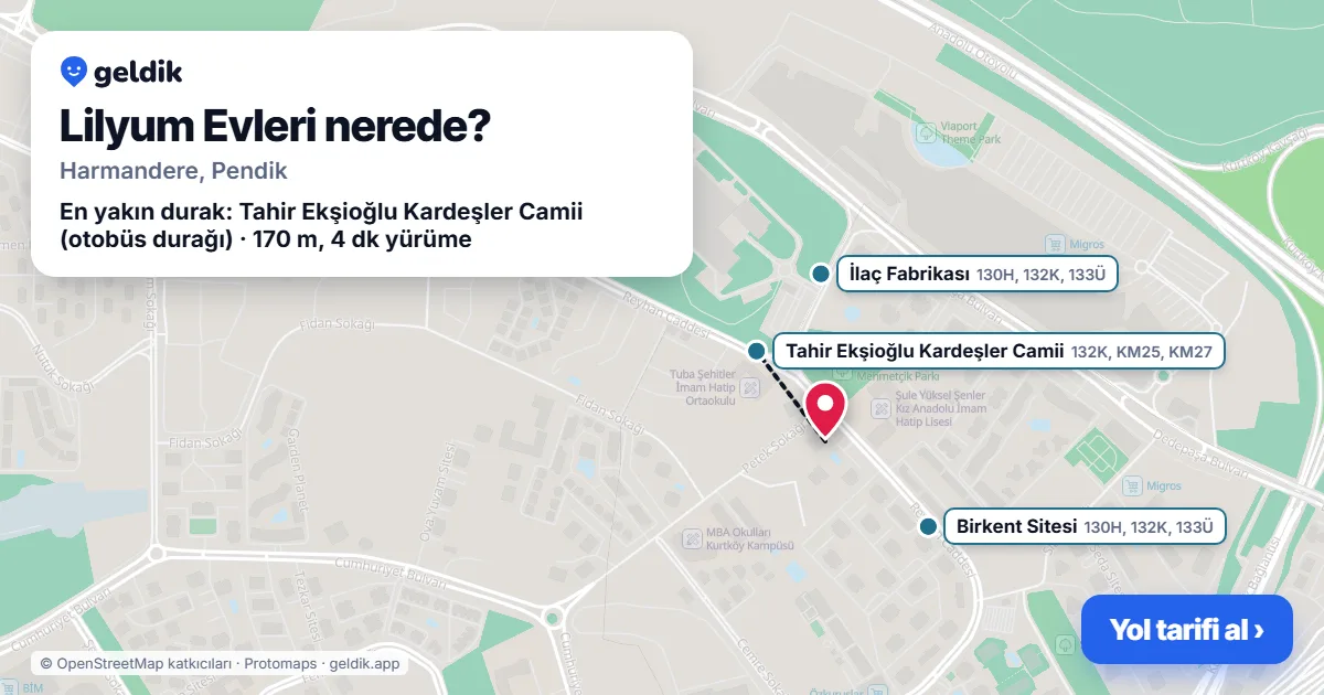Lilyum Evleri nerede: haritada konumu ve en yakın duraklar, yürüme süreleriyle