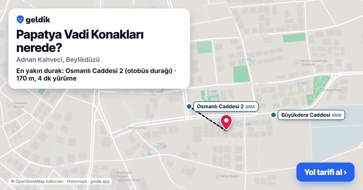 Papatya Vadi Konakları nerede: haritada konumu ve en yakın duraklar, yürüme süreleriyle