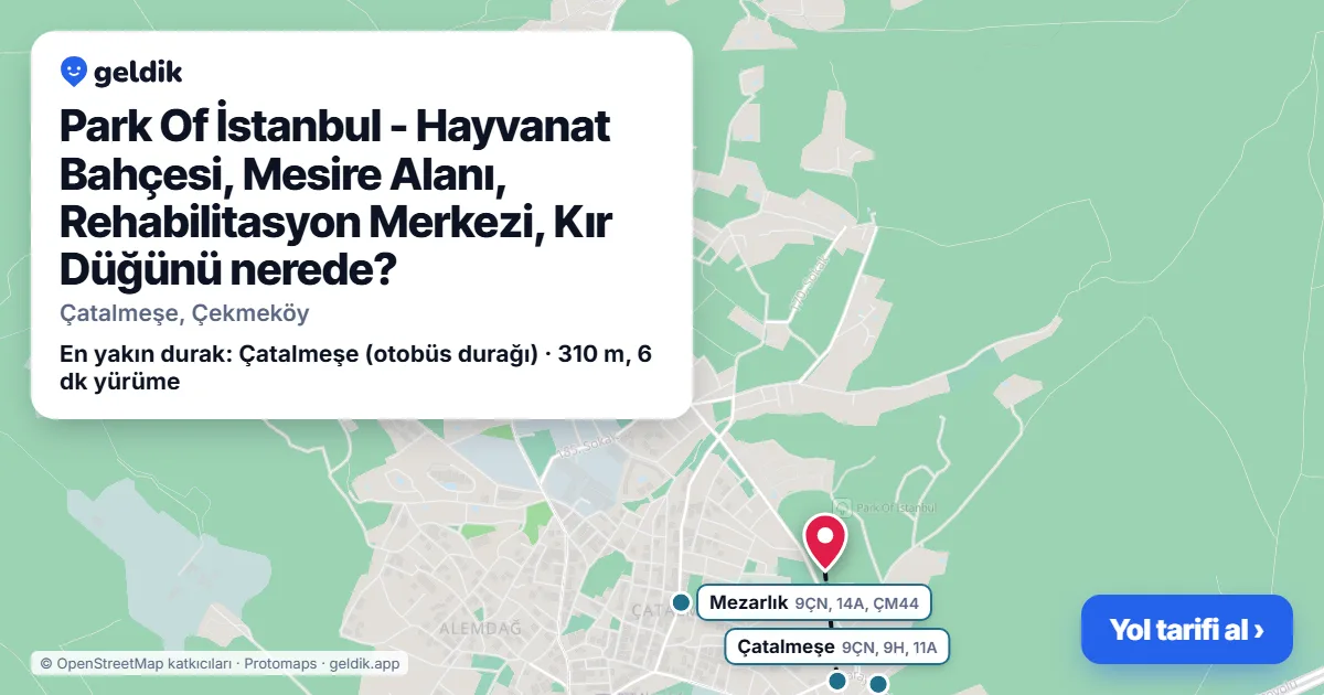 Park Of İstanbul - Hayvanat Bahçesi, Mesire Alanı, Rehabilitasyon Merkezi, Kır Düğünü nerede: haritada konumu ve en yakın duraklar, yürüme süreleriyle