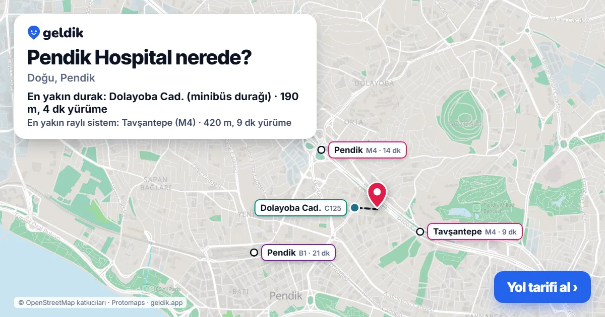 Pendik Hospital nerede: haritada konumu ve en yakın duraklar, yürüme süreleriyle