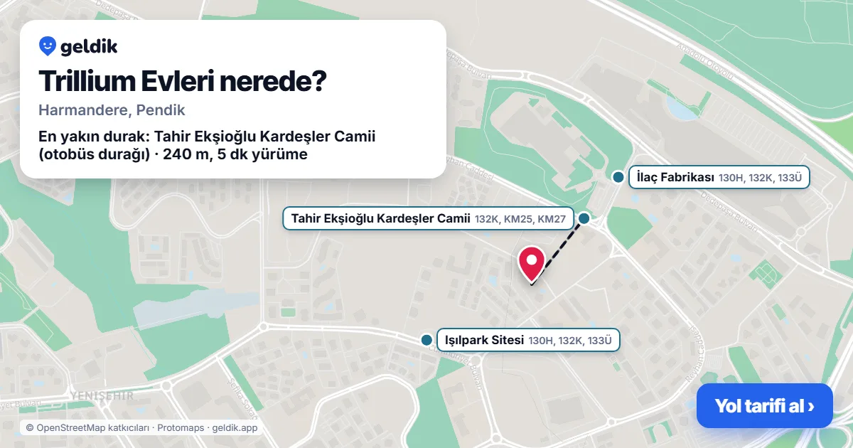 Where is Trillium Evleri: map with its location and the nearest stops, with walking times