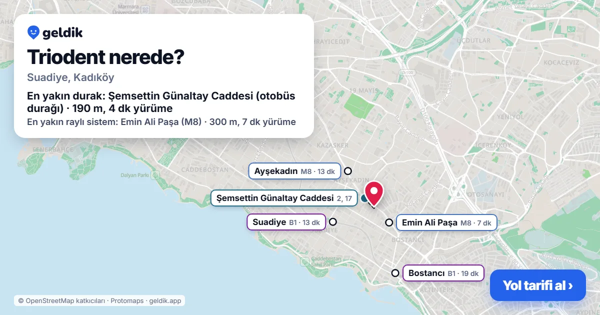 Triodent nerede: haritada konumu ve en yakın duraklar, yürüme süreleriyle
